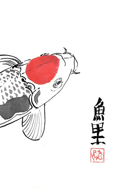 carp koi close up