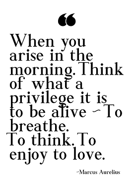 Marcus Aurelius Quotes
