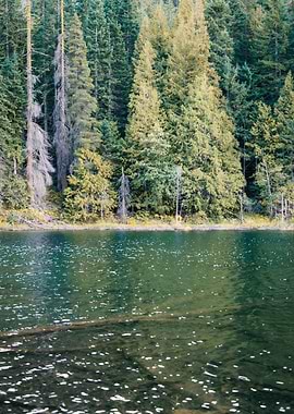 Alpine Lake PNW Landscape