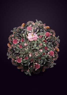 Anemone Sweetbriar Rose