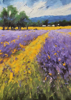 Lavender field