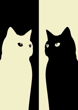 Black and White Cat 6