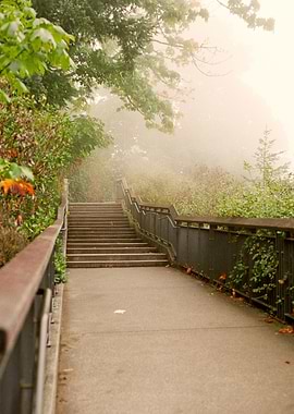 Fog in the PNW Photography