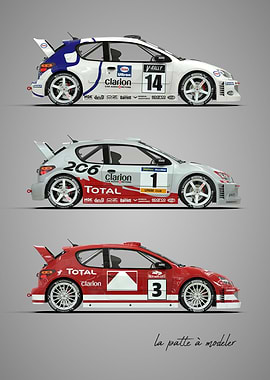 Peugeot 206 Rallye car