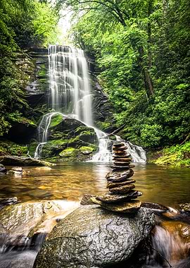 Waterfall Tropical Forest