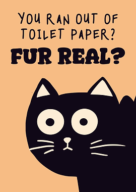 Bathroom Cat Funny Humor