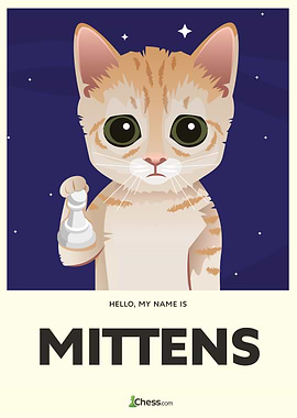 Mittens Stars