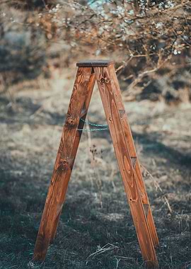 Ladder in the clearing