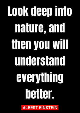 Quotes Albert Einstein