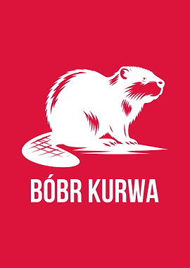 Bober Bobr Kurwa Meme