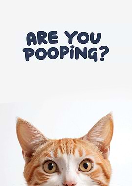 Funny cat toilet