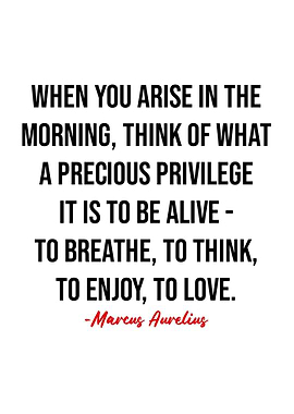 Marcus Aurelius Quotes