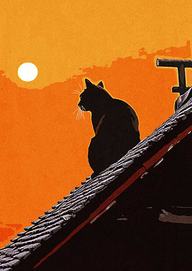 Black cat on the roof