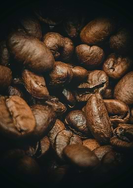 Coffee Bean