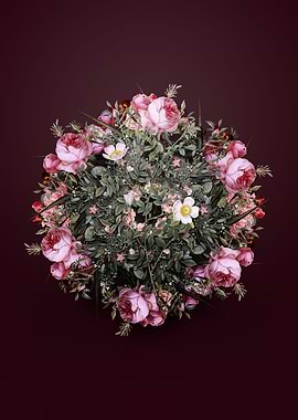 Pink Hedge Rose Wreath