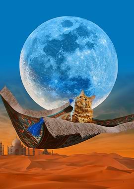 Kitten On Flying Carpet