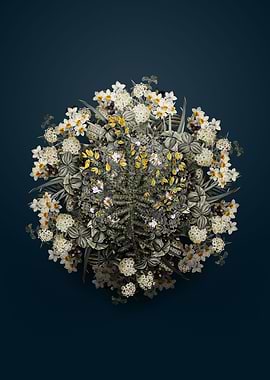 Yellow Gorse Flower Wreath