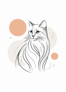 Graceful Cat Abstraction