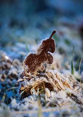 Frosted Forest Floor Leaf