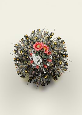 Discolored Calandrinia