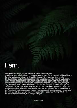 Fern