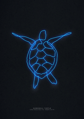 line art hawksbill turtle