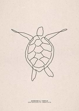 line art hawksbill turtle