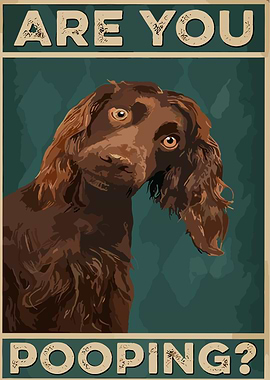 Dog Are You Pooping Funny