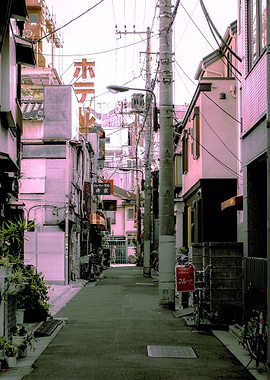 Aesthetic Village View