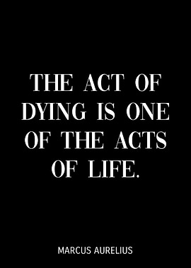 Marcus Aurelius Quotes