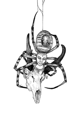 Animal Skull Spider Face