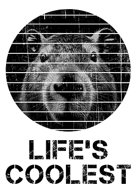 Capybara Lifes Coolest