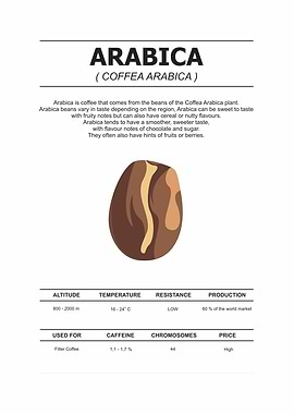 arabica coffee beans