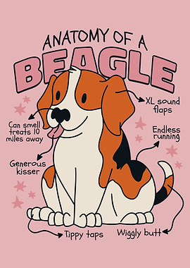Beagle