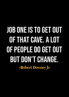 Robert Downey Jr Quotes