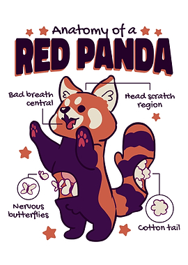 Red Panda