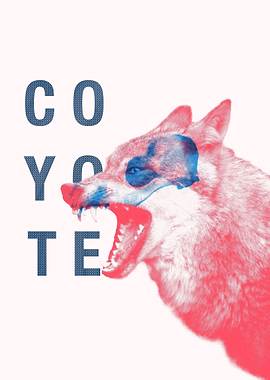 Coyote