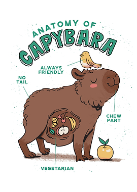 Capybara