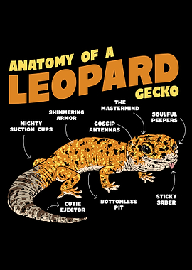 Leopard Gecko