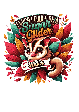 Australian Sugar Glider