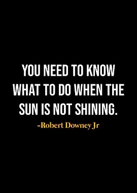 Robert Downey Jr Quotes