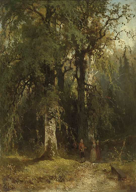 View in the Woods