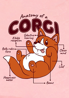 Corgi