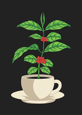 coffee tree