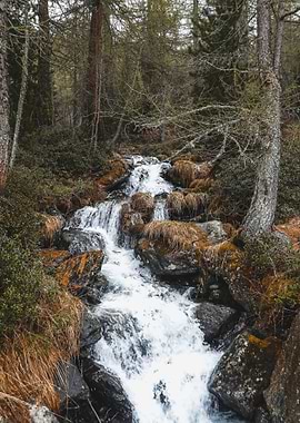 Woodland Waterfall Whisper