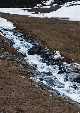 Spring Thaw Stream Flow