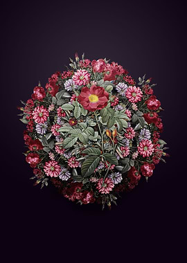 Red Portland Rose Wreath