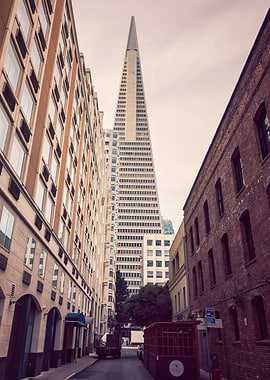 TransAmerica