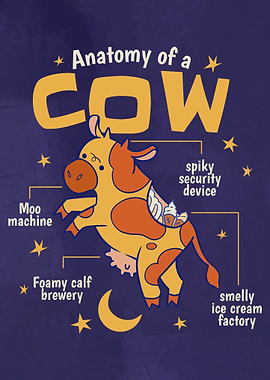 Cow Anatomy