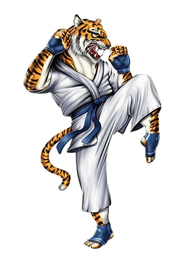 Tiger Martial Arts Fighter